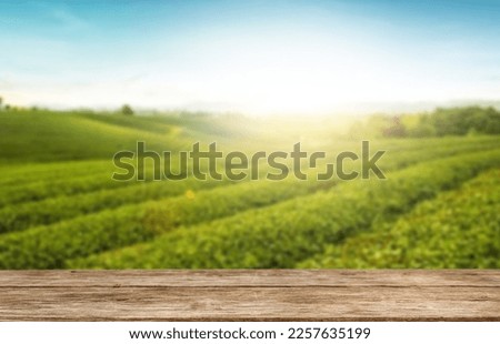 Wooden table top on blur green tea mountain and grass field.Fresh and Relax concept.For montage product display or design key visual layout.View of copy space. Royalty-Free Stock Photo #2257635199