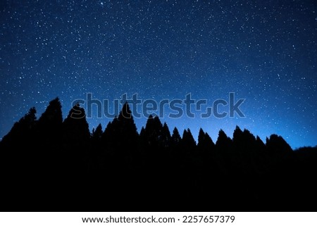 Black defined trees silhouettes on bright starry sky background. Night mysterious panoramic landscape in cold tones silhouettes of the pine forest under the stars and dramatic night sky. Royalty-Free Stock Photo #2257657379
