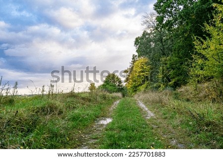 Photography on theme beautiful footpath in wild foliage woodland, photo consisting of rural footpath to wild foliage woodland without people, footpath at wild foliage woodland this is natural nature Royalty-Free Stock Photo #2257701883