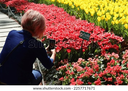 Close-up shot of a man's hand holding a smartphone taking pictures of flowers in the flower garden