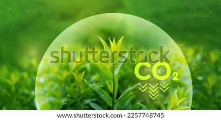 Ecology, sustainable resources, concept of renewable energy sources. Sprout of tree next to graphic designation of reducing level of carbon dioxide in atmosphere. Light green natural background. Royalty-Free Stock Photo #2257748745