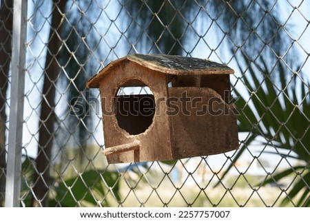 Parrot's house in the park