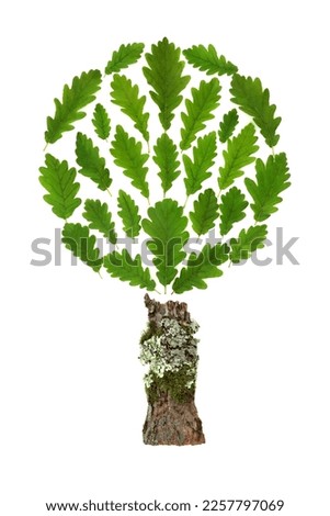 Oak tree abstract conceptual symbol with loose green leaves and moss covered trunk. Surreal eco friendly design element for environmentally friendly logo, company brand. On white background.