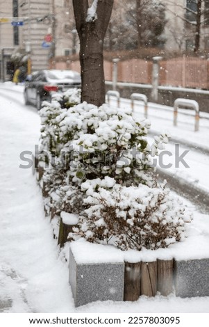 Pictures of various landscapes in the snowy neighborhood.

