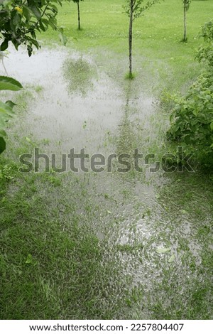 The garden and yard are flooded. Consequences of downpour, flood. Rainy summer. Vertical Royalty-Free Stock Photo #2257804407