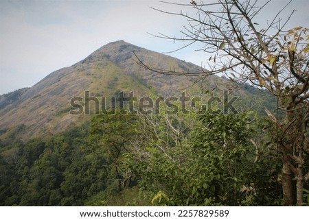 beautiful scenic view of Nelliyampathy hills in Palakkad, India