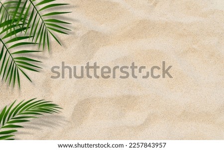 Palm leaves over sand beach top view well free space for text present summertime Summer season background 