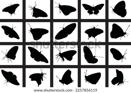 Silhouette Cute Butterfly Vector Art Bundle