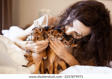Woman holding a bunch of  abyssinian ruddy kittens. Cute one month old kittens on a bed. Pets care. World cat day. Good morning concept. Image for websites about cats. Selective focus.