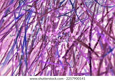 Beautiful grass with raindrops in pink and purple soft tone with glitter background