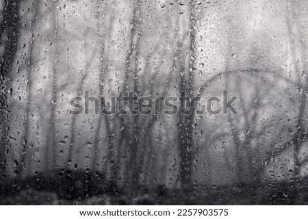 View of the trees of the autumn park in the fog through the glass covered with raindrops. Focus on raindrops