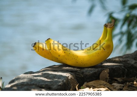 banana on the shore of a river