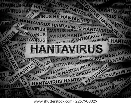 Strips of newspaper with the words Hantavirus typed on them. Black and white. Close up. Royalty-Free Stock Photo #2257908029