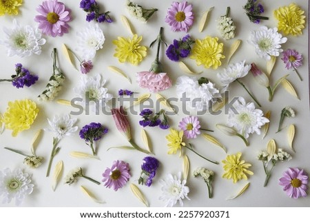 Bright creative spring flowers on a light background, Flat lay, mockup with top view. Valentines day
