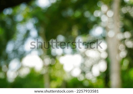 Stock photo with empty space over orange tree, orange field background. For product display montage