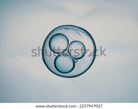 Cells division process, Cell divides into two cells	 Royalty-Free Stock Photo #2257947037