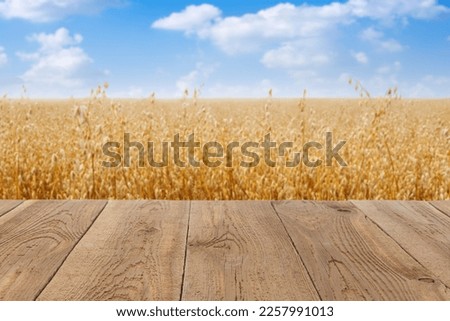 wooden empty table and ripe cereal oat field with blue sky on sunny summer day on the background. Photo with space for text Royalty-Free Stock Photo #2257991013
