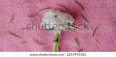 a bunch of white portulaca flowers on a pink texture background