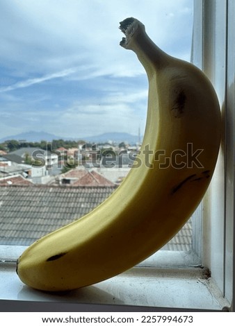 fresh bananas in the window before eating