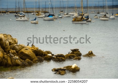 View of Monterey Bay, California, USA