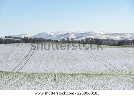 Winter Barley field dusted in snow with distant snow covered hills in the background
