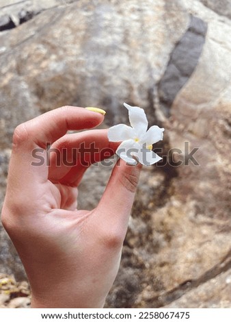 Tropic white little flower in the woman hand. Bali, Sri Lanka, India, Thailand vibe. Life balance. Top view