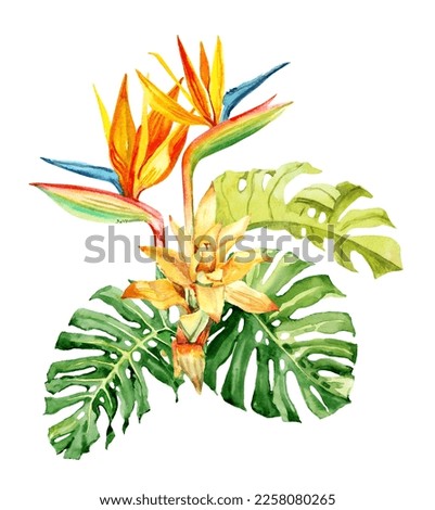 Watercolor hand drawn rainforest tropical leaves and flowers bouquet composition. Botanical illustration isolated on white background. Hand painted watercolor floral clip art