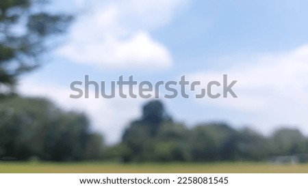 Photo stock of defocused trees at the park