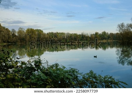lake in forest, photo as a background, digital image
