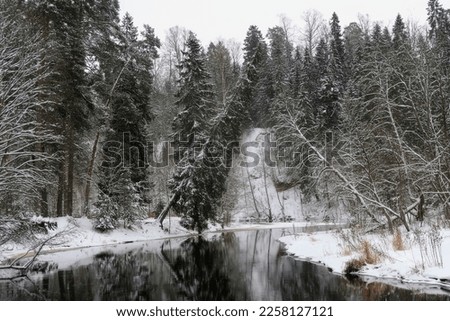 Scenic landscape of winter nature