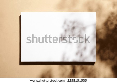White canvas, blank picture mockup hanging on beige wall with dark shadows of leaves. Poster mock up, empty canvas with shadows of plant, front view