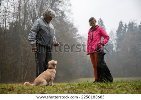 Female dog instructor demonstrating on her dog to help her client work and obedience train with his dog. Outside in nature. Royalty-Free Stock Photo #2258183685