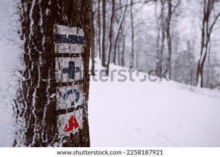 In a horizontal orientation color image, a snowy tree can be seen in a winter landscape during snowfall, composed to the left with tourist signs.