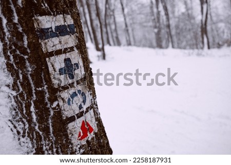 A color image with an oblique orientation shows a tree with snowy bark and tourist signs in a winter landscape during snowfall.