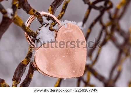 A rose gold-colored lock with a heart-shaped, shiny surface is hanging on the horizontal color image, and it is snowing on Valentine's Day in February, which is winter.