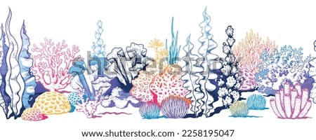 Coral reef pattern, sea water. Tropical border, red ocean animals habitat, color marine seaweed, exotic summer undersea background. Aquarium elements. Vector seamless illustration Royalty-Free Stock Photo #2258195047