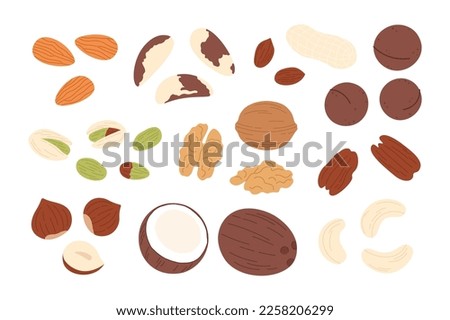 Dried nuts mix set, walnut and seed, coconut. Vegan food, almond and hazelnut, peanuts dry. Isolated pistachio, cartoon healthy raw nut racy vector clipart Royalty-Free Stock Photo #2258206299