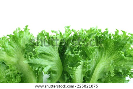 lettuce salad on white background.