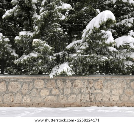 A front shoot of masonry stone wall with snowy branches. Welcoming winter. Green branches under snow. Green leaves under white layer cover. Stone texture under plants. Snowy background photo.

