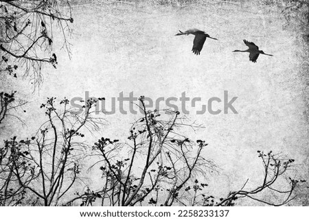 Textured old paper background with the dry tree branches and birds flying. Art nature. Vintage style card