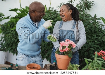 Happy african senior couple having fun gardening together at house patio