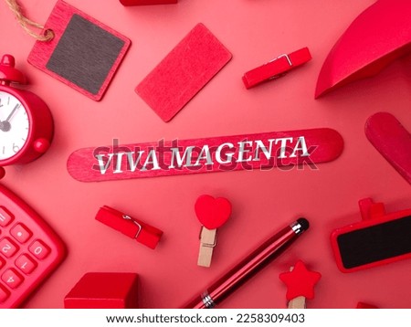 Colored wooden block and pen with the word VIVA MAGENTA.