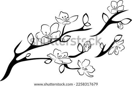 Cherry blossom branch with sakura flower. flat style cherry blossom vector illustration isolated