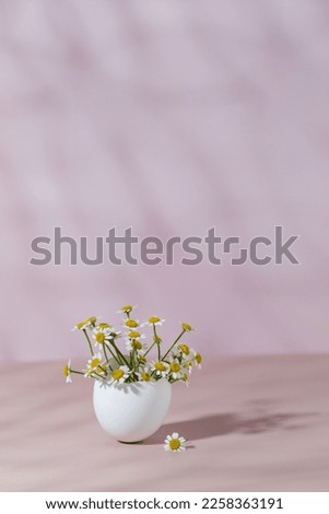 Spring and Easter concept, A bouquet of daisies in an eggshell on a pink background with shadows.
