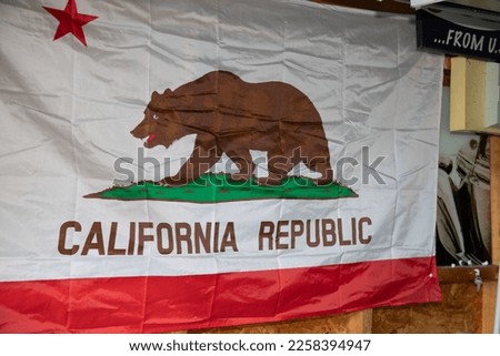 Californian flag California Republic flag with grizzly bear