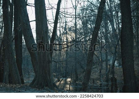 River in gloomy forest landscape photo. Smoke from fire Beautiful nature scenery photography with blurred background. Idyllic scene. High quality picture for wallpaper, travel blog, magazine, article
