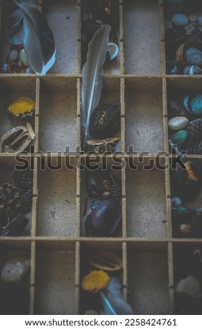 Close up fall scavenger hunt concept photo. Dried fruits and pine cones. Feathers and stones collecting. Top view photography. High quality picture for wallpaper, travel blog, magazine, article