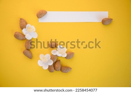 Happy Easter. Minimal composition made with almond blossom and almonds on yellow background with space for text. Greeting card concept for spring, easter, mother's day festive moments.