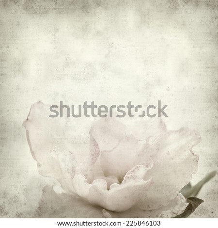 textured old paper background with double pink azalea
