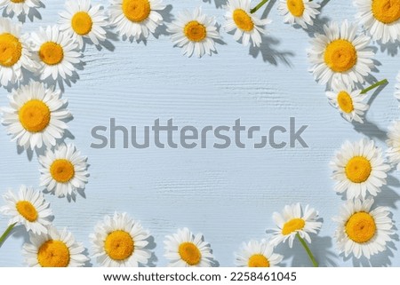 Chamomile flowers in yellow water with concentric circles and ripples. Natural beauty Spa concept. Copy space. Top view